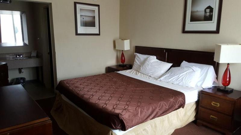 Red Roof Inn Florence, Sc Extérieur photo